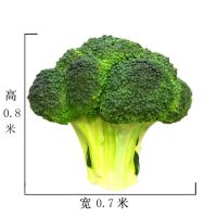 玻璃钢菜花雕塑