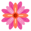 格桑花学术导航